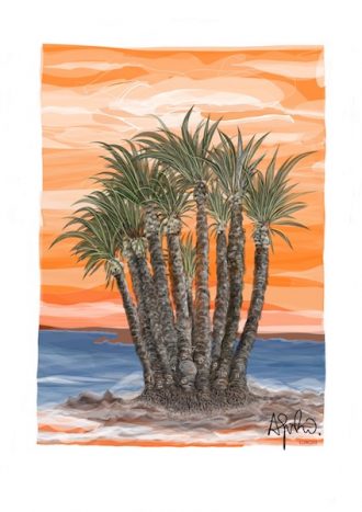 Dibujandro. Palmera