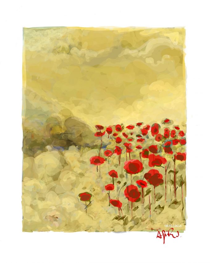 Amapolas Dibujandro. Amapolas
